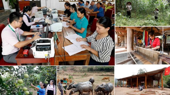 Phát huy tín dụng chính sách hỗ trợ Nghệ An tận dụng thời cơ lịch sử