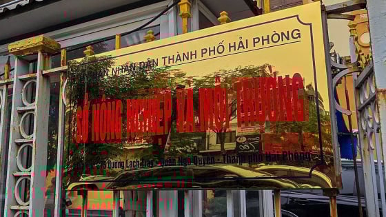Bộ Nông nghiệp và Môi trường đưa ra định hướng kiện toàn cơ quan chuyên môn về nông nghiệp và môi trường sau sáp nhập tỉnh, xã