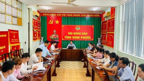 Bình Phước góp ý dự thảo Nghị quyết sửa đổi Hiến pháp, kiến nghị tránh “hành chính hóa hoạt động' Hội Nông dân