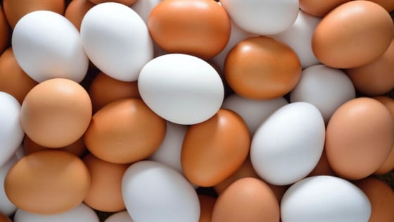 Vì sao không thể làm giả được trứng gà?