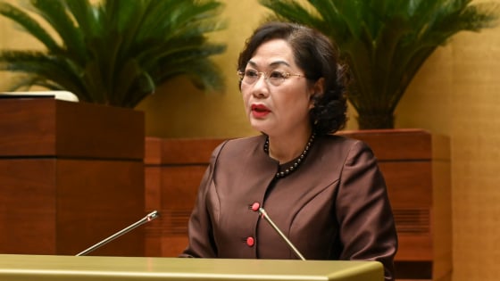 Đề xuất trao quyền của Thủ tướng cho Ngân hàng Nhà nước đối với khoản vay đặc biệt, lãi 0%, không thế chấp
