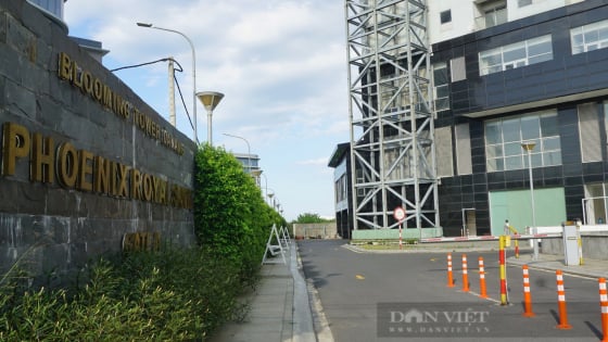 Đình chỉ hoạt động toà nhà Blooming Tower nằm trên “đất vàng” ở Đà Nẵng