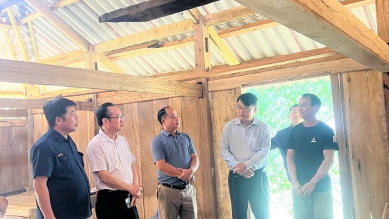 Hội Nông dân tỉnh Cao Bằng, giám sát sâu, phản biện trúng, bảo vệ quyền lợi chính đáng cho hội viên