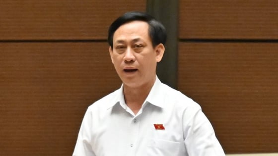 Đại biểu Quốc hội lo lắng một cuộc thanh tra kéo dài 120 ngày sẽ ảnh hưởng cơ quan, doanh nghiệp