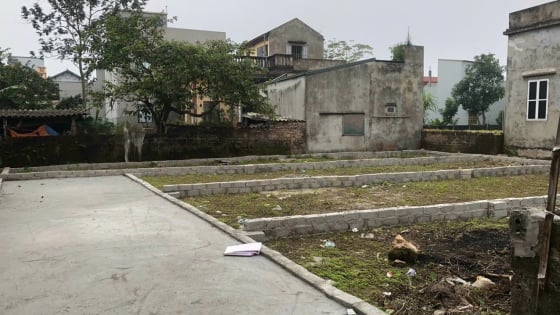 Bộ Xây dựng 'cảnh báo' giá đất nền, nhà ở riêng lẻ biến động tiềm ẩn rủi ro