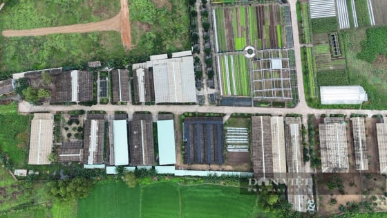 Chiến dịch 'không vùng cấm' của Chủ tịch Bình Định: Vì sao vẫn còn 'điểm trũng' thách thức chỉ đạo?