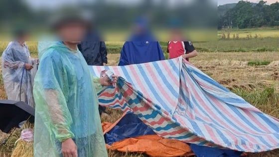 Người đàn ông đang gặt lúa, lấy điện thoại xem camera giám sát bị sét đánh tử vong