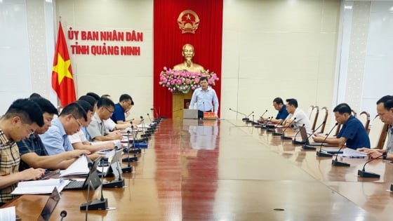 Chấn chỉnh tình trạng chậm hoàn tất thủ tục giao khu vực biển ở Quảng Ninh