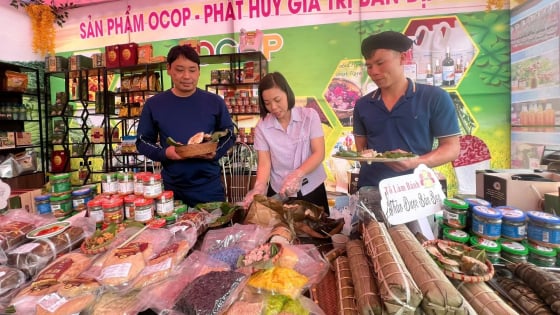 Hơn 1.000 sản phẩm OCOP đặc trưng được Phú Thọ xúc tiến thương mại