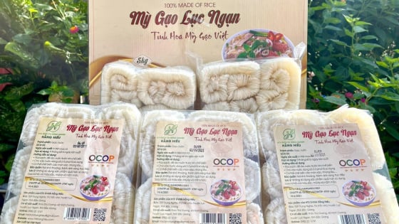 Mỳ gạo Lục Ngạn: Sản phẩm OCOP dẫn lối phát triển nông thôn mới ở một thị trấn của Bắc Giang