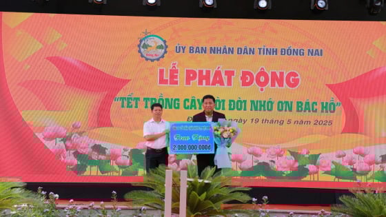 C.P. Việt Nam được tuyên dương vì những đóng góp về môi trường và phục hồi rừng tại Đồng Nai, Bến Tre