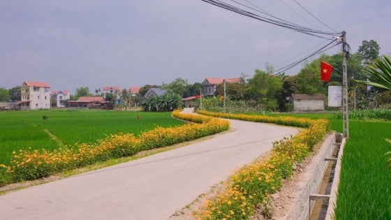 Một xã nông thôn mới ở Thái Nguyên có đường xóm đẹp như tranh, ngựa là đặc sản, khách bắt đầu tìm đến chơi 