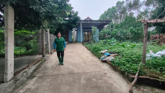 Từ 5 con lợn giống được hỗ trợ đến hành trình đổi đời của một gia đình nông dân Bắc Giang