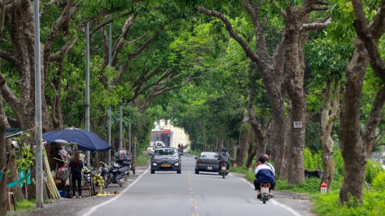 Tuyến đường có hàng xà cừ tuyệt đẹp ở ngoại thành Hà Nội sắp được mở rộng lên 8 làn xe 