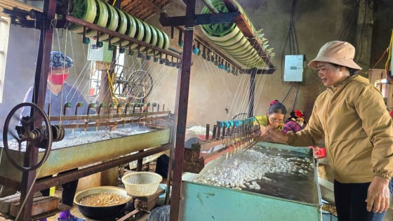 Nuôi con vật chỉ ăn một loại lá, nhả ra thứ sợi trắng muốt, bán sang Lào giá 1 triệu/kg, cả làng Nghệ An khá giả