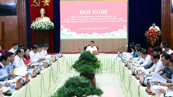 Hoàn thiện thủ tục để kết thúc hoạt động với Đảng bộ tỉnh Hà Nam, Nam Định, Ninh Bình, thành lập Đảng bộ tỉnh Ninh Binh mới