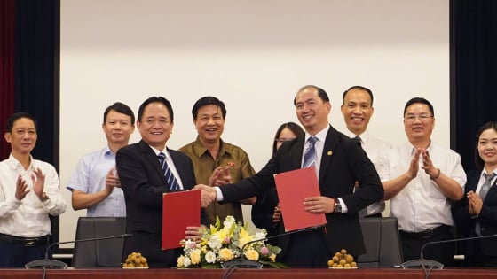  'Luật sư không chỉ là người đứng trong phòng xử án'