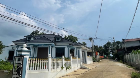 Đây là 'kho báu' mà dân một xã ở Ba Vì nhờ đó hết nghèo, có xóm xây nhà tiền tỷ san sát nhau 