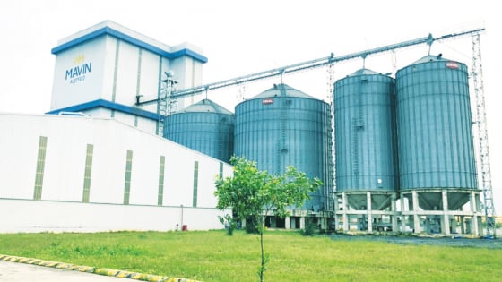 Mavin triển khai dự án số hóa dữ liệu nhà cung cấp - nâng tầm quản trị chuỗi cung ứng ngành nông nghiệp
