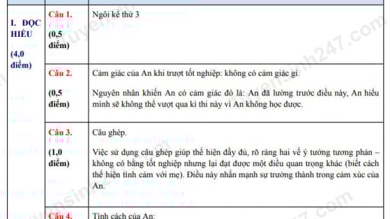Đề thi môn Văn vào lớp 10 năm 2025 của Đồng Nai có gợi ý đáp án 