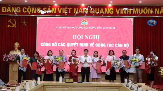 Trung ương Hội Nông dân Việt Nam trao quyết định nghỉ hưu, nghỉ thôi việc cho 10 đồng chí