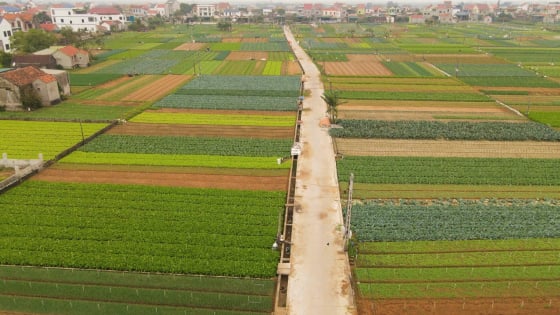 Sản xuất phân hữu cơ vi sinh, thay đổi từ nhận thức đến hành động thực tế của nông dân Nghệ An