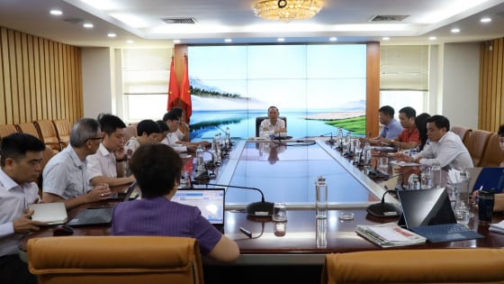 Sau phản ánh của Dân Việt, Bộ Nông nghiệp và Môi trường họp chấn chỉnh phòng, chống dịch bệnh và tiêm vaccine dịch tả lợn châu Phi