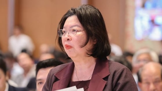 Bà Cao Xuân Thu Vân: HTX đang bơi giữa dòng chảy rất lớn, chương trình đầu tư không có 'bóng dáng' của HTX