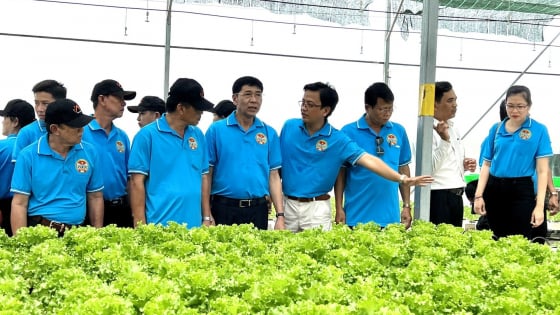 HTX trồng rau thủy canh có tiếng ở TP HCM “thoát nguy” nhờ Quỹ Hỗ trợ nông dân 'tiếp sức'