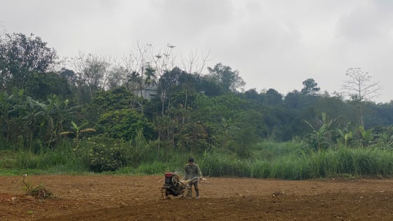 Chính sách hỗ trợ nông dân phát triển nông nghiệp, ứng dụng công nghệ cao