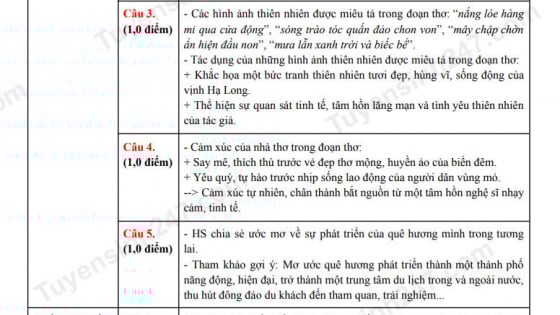 Đề thi môn Văn vào lớp 10 năm 2025 của Quảng Ninh có gợi ý đáp án 