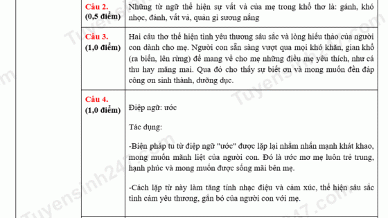 Đề thi môn Văn vào lớp 10 năm 2025 của Sơn La có gợi ý đáp án