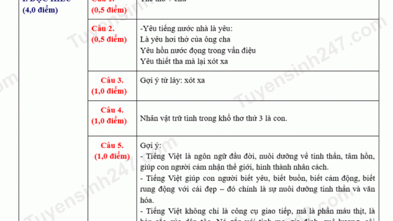 Đề thi môn Văn vào lớp 10 năm 2025 của Vĩnh Phúc có gợi ý đáp án