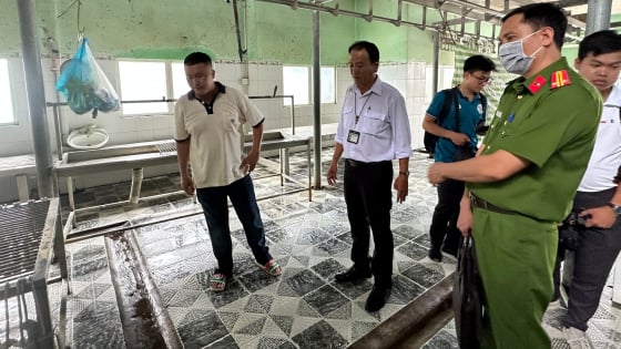 Đang kiểm tra lò giết mổ heo gia công cho Công ty C.P Việt Nam tại Hậu Giang 
