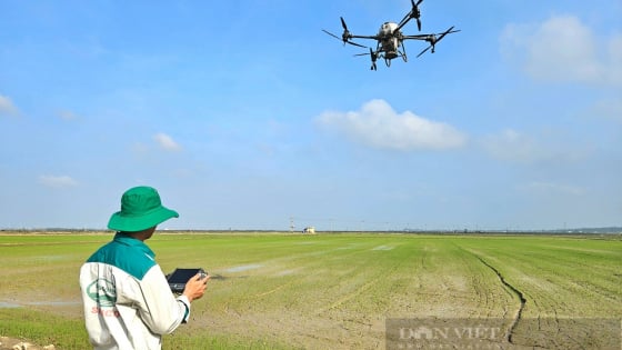 Giảm nghèo ở Quảng Bình: Nông dân ứng dụng công nghệ vào sản xuất lúa, cánh đồng xanh tốt, cuối vụ bội thu