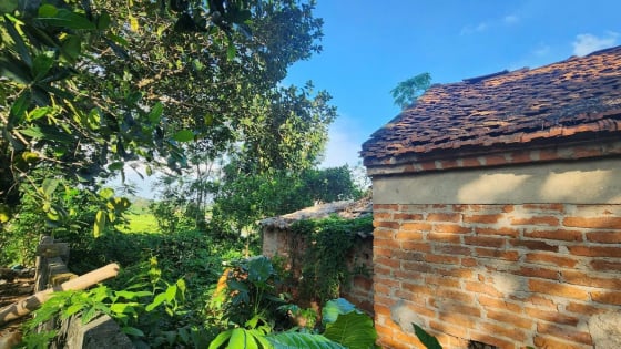 Vụ người dân ròng rã tìm sổ đỏ: Lãnh đạo huyện Quốc Oai giao cơ quan chức năng làm rõ