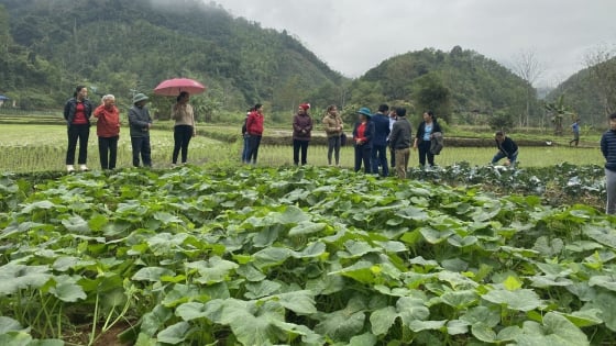 Tăng cường thông tin để khơi dậy khát vọng thoát nghèo của người nghèo