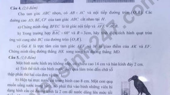 Đề thi môn Toán vào lớp 10 năm 2025 của Đà Nẵng có gợi ý đáp án