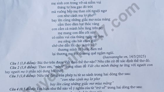 Đề thi môn Văn vào lớp 10 năm 2025 của Hưng Yên có gợi ý đáp án