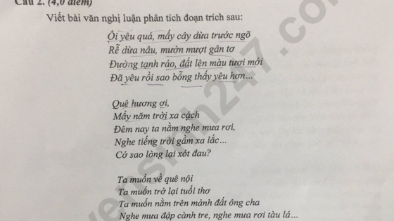 Đề thi môn Văn vào lớp 10 năm 2025 của Phú Thọ có gợi ý đáp án