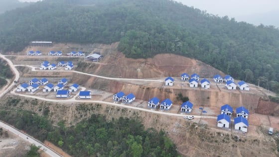 Nông dân Bảo Lạc của Cao Bằng nhiều nhà thoát nghèo nhờ trồng cây đặc hữu, đó là các cây gì?