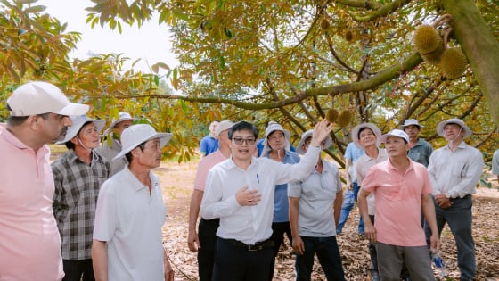 Thúc đẩy canh tác bền vững, hỗ trợ nữ nhà nông phát triển sinh kế