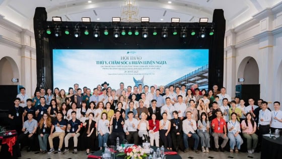 Hơn 100 chuyên gia hàng đầu dự Hội thảo ngành ngựa tại Học viện Cưỡi ngựa Vinpearl Vũ Yên