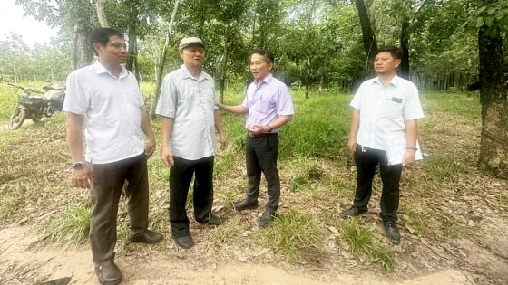 Bình Dương “chạy nước rút” giải ngân vốn bồi thường giải phóng mặt bằng, tránh nghẽn sau khi xóa cấp huyện