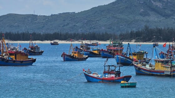 Loạt ca sĩ nổi tiếng sắp về Bình Định trong đêm khai mạc du lịch hè “Quy Nhơn - Thiên đường biển - Khát vọng vươn xa”