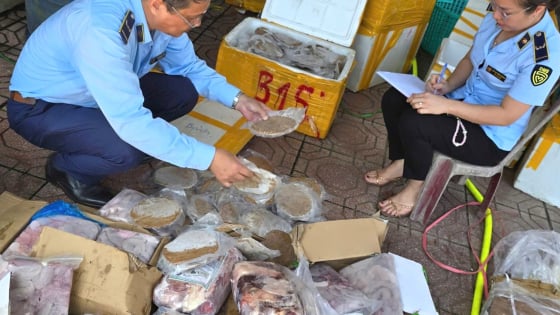  Quảng Bình: Thu giữ gần 270kg chả cá, tôm, nội tạng động vật không rõ nguồn gốc