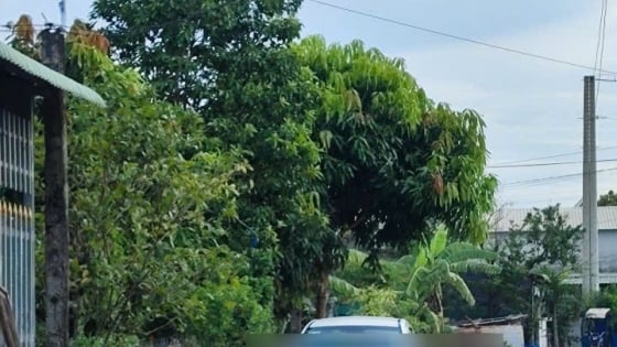 TIN NÓNG 24 GIỜ QUA: Khởi tố, bắt bị can sát hại anh vợ, cố thủ trong nhà; côn đồ xông vào nhà người khác sàm sỡ vợ, chém chồng trọng thương
