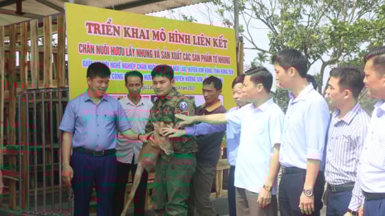 Báo Dân Việt kết nối Nông dân Việt Nam xuất sắc làm ăn lớn mạnh hơn
