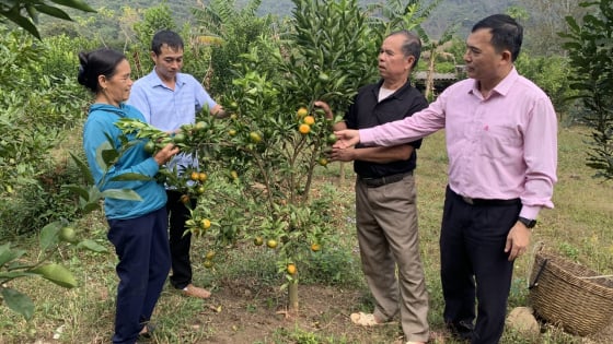 Đưa Dân Việt đến gần hơn với nông dân Việt Nam