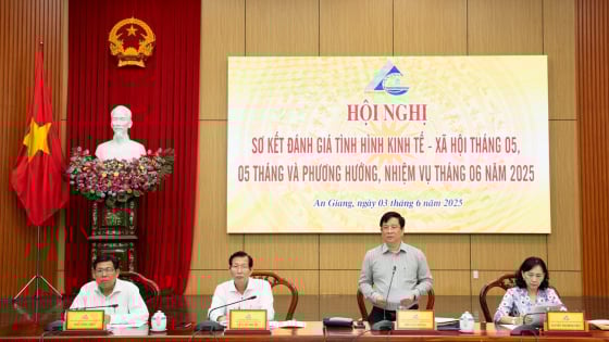 Trước khi chung nhà, hai tỉnh An Giang, Kiên Giang, tỉnh nào thu ngân sách nhiều hơn, tỉnh nào xuất khẩu tốt hơn?